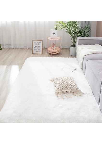 Yıkanabilir Yumuşak Peluş Post Çocuk Odası Oturma Odası Salon Mutfak Halısı
