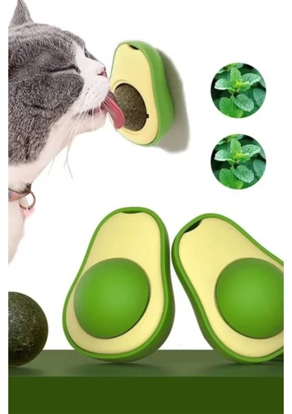 Avacado Kedi Nanesi Kedi Otu Topu Yalama Topu