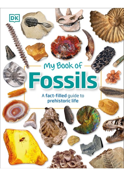 My Book Of Fossils - Dean R. Lomax