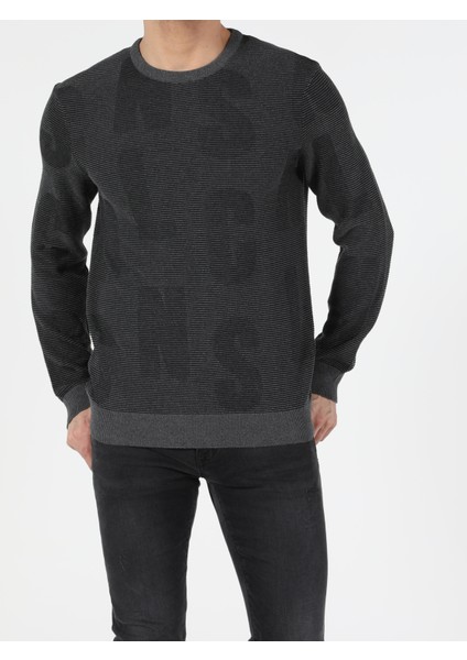 Slim Fit Yuvarlak Yaka Erkek Antrasit Kazak