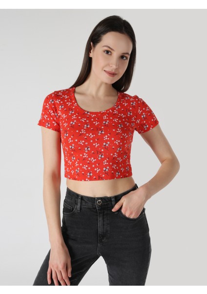 Slim Fit Yuvarlak Yaka Çiçekli Kadın Kirmizi Kısa Kol Tişört