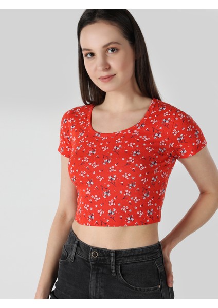 Slim Fit Yuvarlak Yaka Çiçekli Kadın Kirmizi Kısa Kol Tişört indirimleri