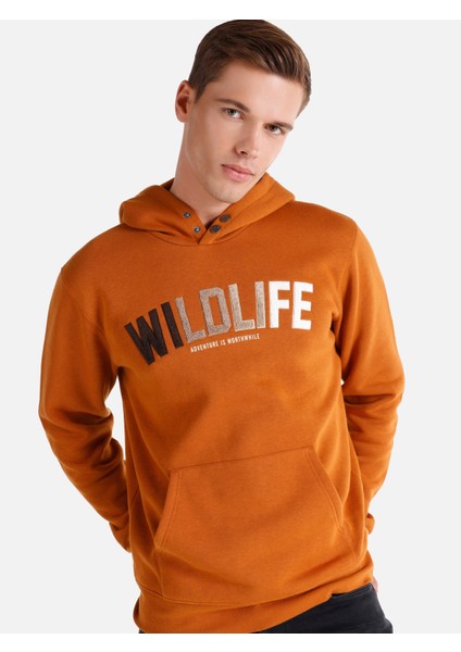 Regular Fit Baskılı Kapüşonlu Camel Erkek Sweatshirt Cl1064827