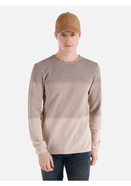 Regular Fit Triko Bej Erkek Kazak Cl1064867