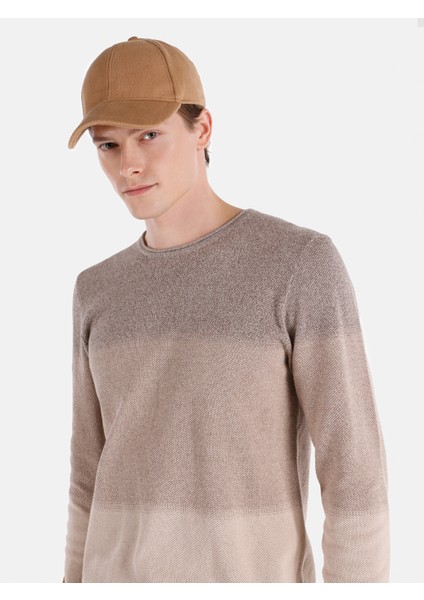 Regular Fit Triko Bej Erkek Kazak Cl1064867