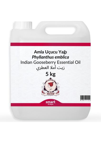 Amla Uçucu Yağı Phyllanthus Emblica 5 kg