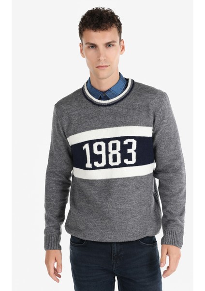 Regular Fit Yuvarlak Yaka Jakarlı Erkek Gri Kazak Cl1065913