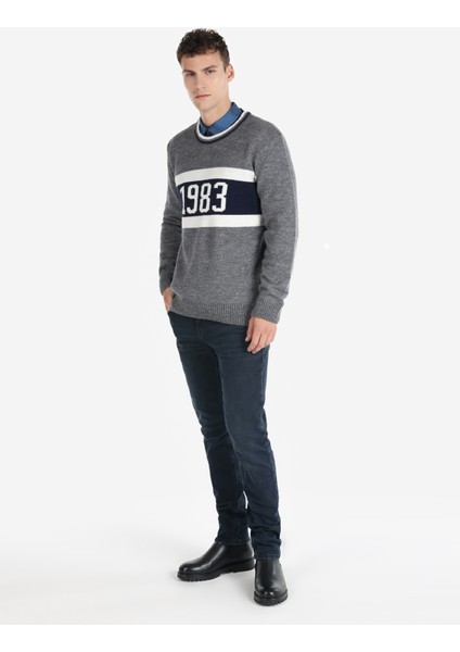 Regular Fit Yuvarlak Yaka Jakarlı Erkek Gri Kazak Cl1065913