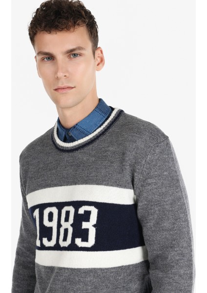 Regular Fit Yuvarlak Yaka Jakarlı Erkek Gri Kazak Cl1065913