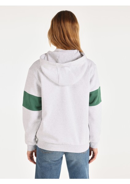 Regular Fit Kapüşonlu Baskılı Gri Kadın Sweatshirt Cl1066038