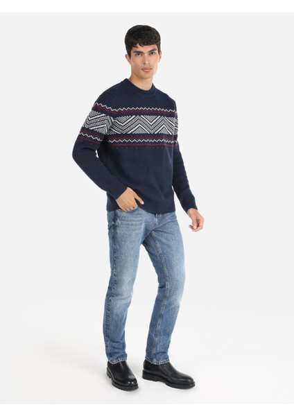 Regular Fit Bisiklet Yaka Lacivert Erkek Kazak Cl1066407