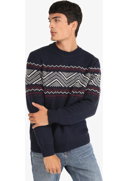 Regular Fit Bisiklet Yaka Lacivert Erkek Kazak Cl1066407 fırsatları
