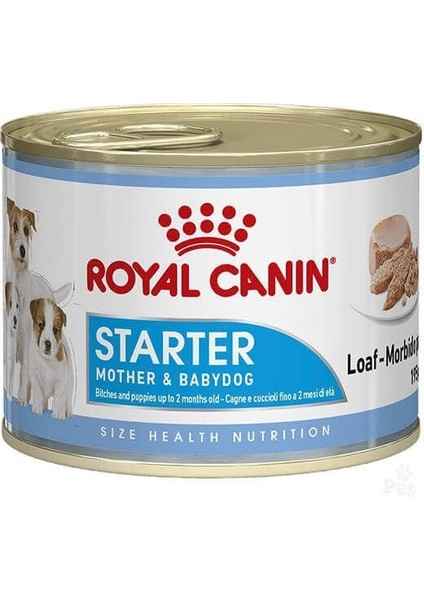 Royal Canin Starter Mousse Yavru Konserve Köpek Maması 195 gr