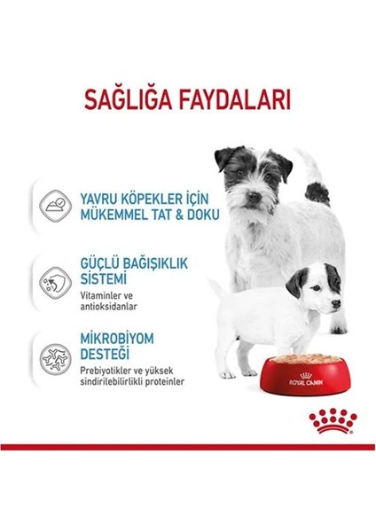 Royal Canin Starter Mousse Yavru Konserve Köpek Maması 195 gr