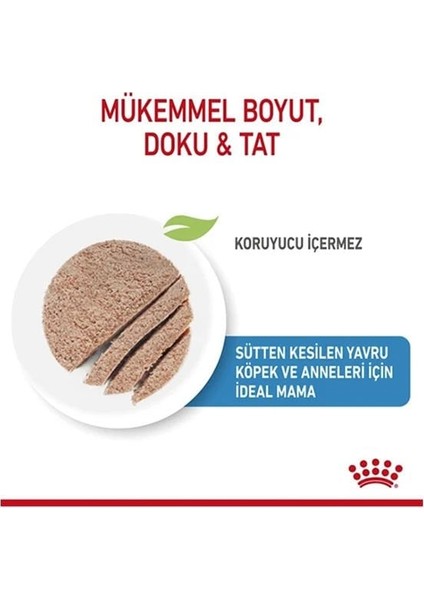 Royal Canin Starter Mousse Yavru Konserve Köpek Maması 195 gr