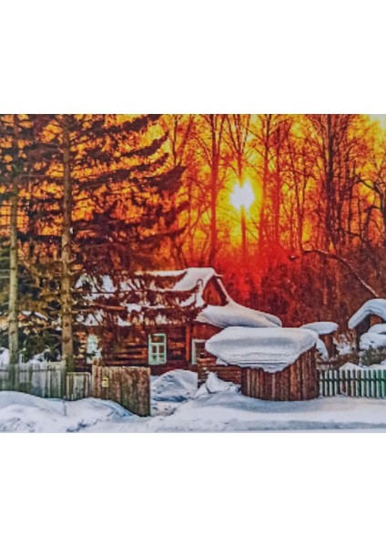 Kedi Modeli Boncuklu Taşlı Mozaik Elmas Goblen 21 x 25 cm