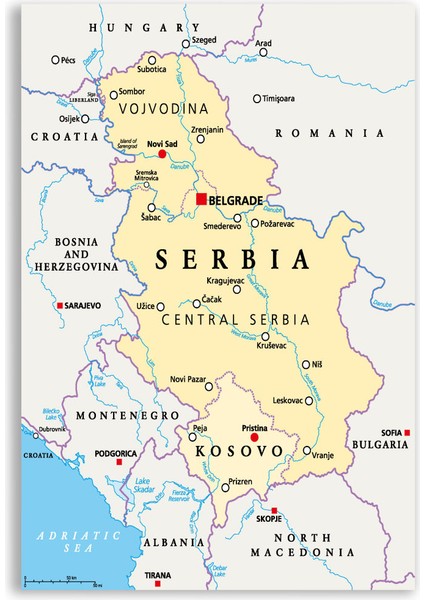 Sırbistan Siyasi Harita Tablosu - CTY153