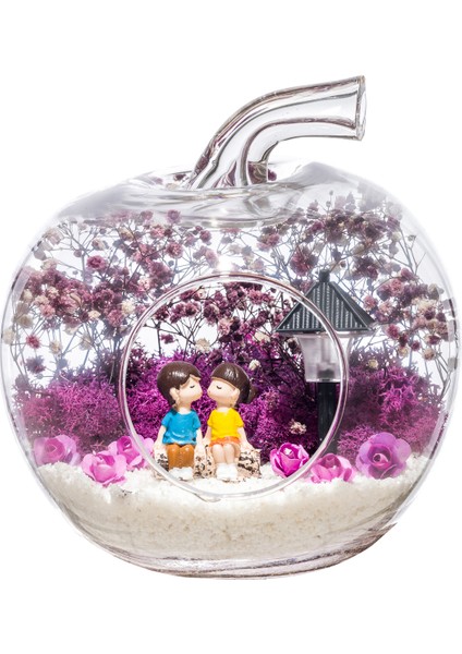 Teraryum Ilk Öpücük fiyatları