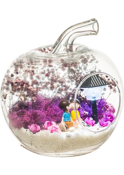 Teraryum Ilk Öpücük fırsatları