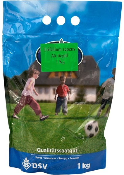 Dsv Trifolium Repens Yonca Aküçgül 1 kg - Çim Yoncası