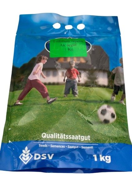 Dsv Trifolium Repens Yonca Aküçgül 1 kg - Çim Yoncası