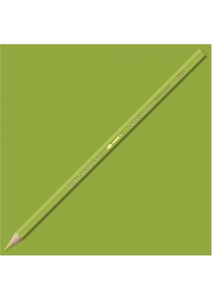 Caran D'Ache Supracolor Soft Khaki Green 016