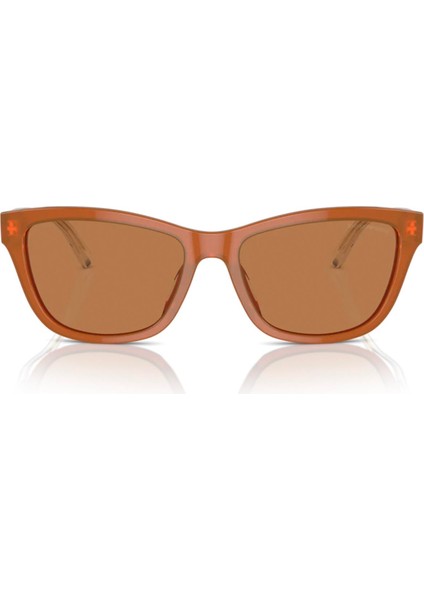 Emporıo Armanı 4227U 609773