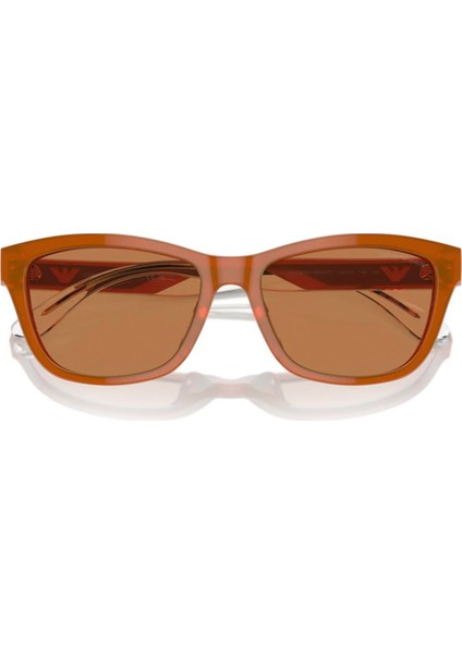 Emporıo Armanı 4227U 609773 fiyatları