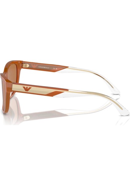 Emporıo Armanı 4227U 609773 indirimleri