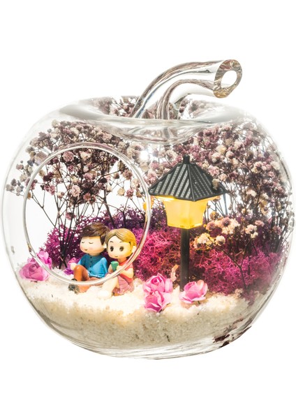 Teraryum Aşkın Tarifi fırsatları