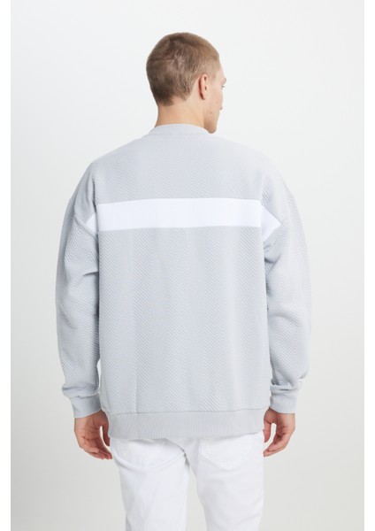 Erkek Açık Gri Oversize Bol Kesim Içi Polarlı 3 Iplik Kolej Yaka Desenli Sweatshirt Ceket indirimleri