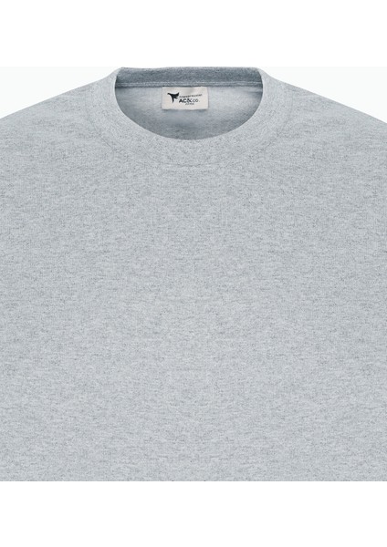 Erkek Gri Melanj Standart Fit Normal Kesim 2 İplik Recycle Pamuklu Bisiklet Yaka Sweatshirt