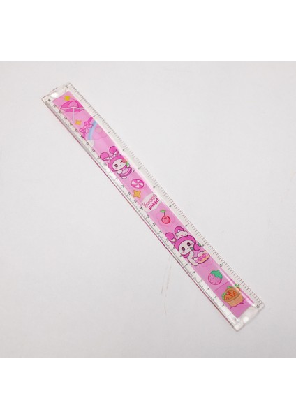 30 cm Kırılmaz Cetvel