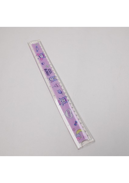 30 cm Kırılmaz Cetvel
