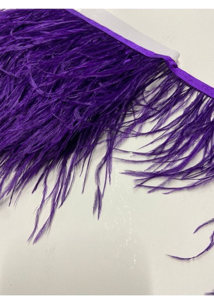 Devekuşu Tüy Mor / 1 Metre