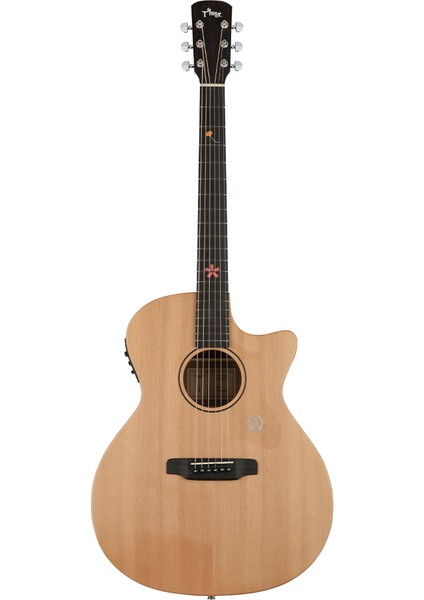 Tg-5 Elektro Akustik Gitar