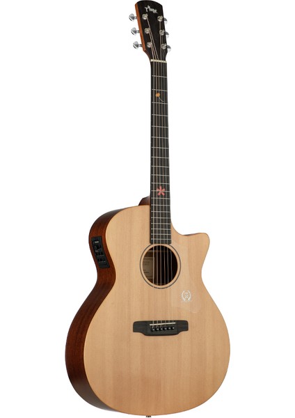 Tg-5 Elektro Akustik Gitar