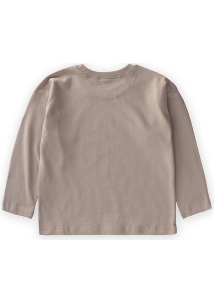 Etiket Detaylı Mevsimlik T-Shırt 2-10 Yaş Vizon fiyatları