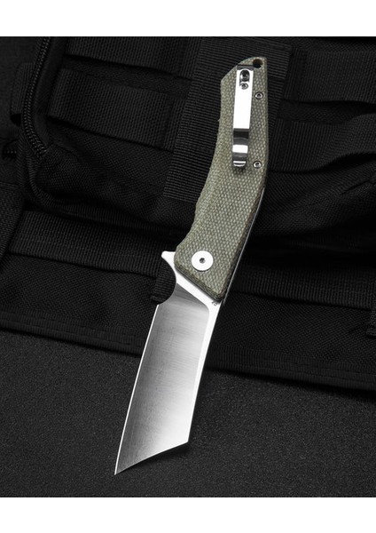 Bestech Cubıs BG42B Micarta Sap D2 Çakı