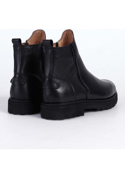 Bot, 41, Siyah fırsatları