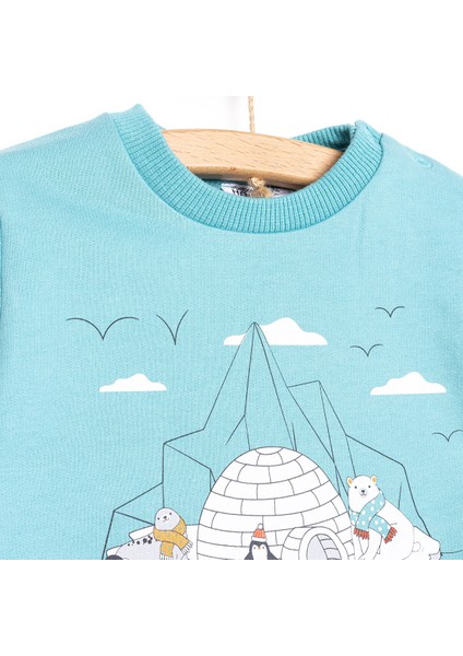 Basic Az Şardonlu Kutup Temalı Desenli Sweatshirt Erkek Bebek modelleri