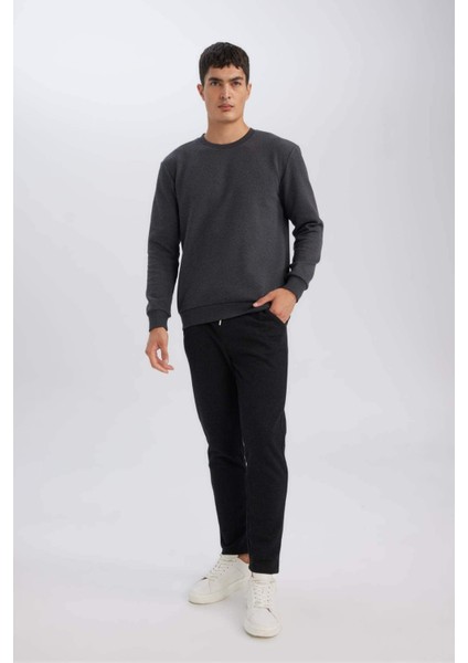 Regular Fit Bisiklet Yaka Jakarlı Sweatshirt D5394AX24AU