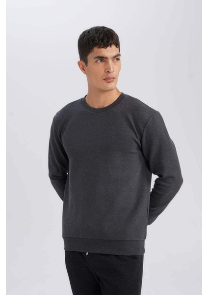 Regular Fit Bisiklet Yaka Jakarlı Sweatshirt D5394AX24AU