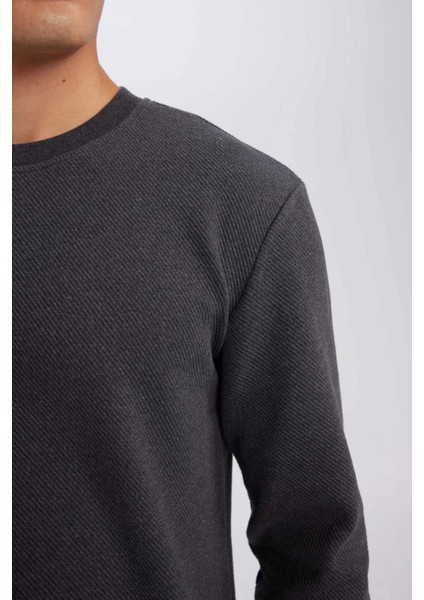 Regular Fit Bisiklet Yaka Jakarlı Sweatshirt D5394AX24AU