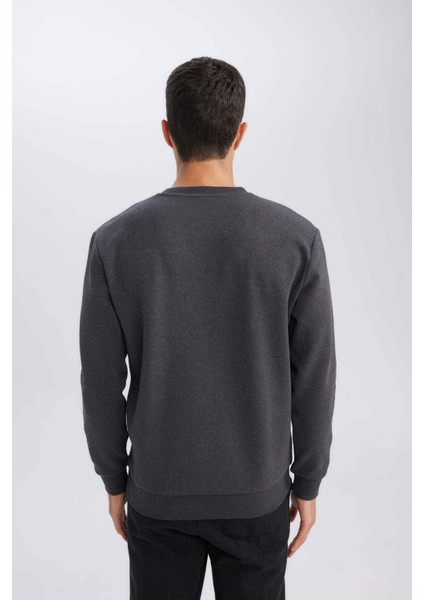 Regular Fit Bisiklet Yaka Jakarlı Sweatshirt D5394AX24AU