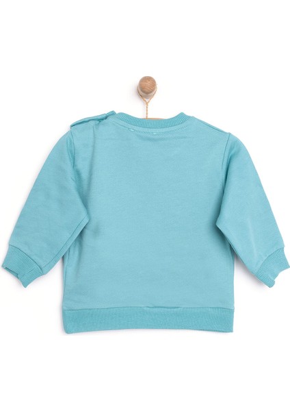 Basic Az Şardonlu Kutup Temalı Desenli Sweatshirt Erkek Bebek fiyatları
