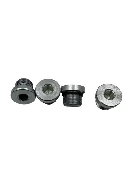 M18X1.5 Alyan Başlı Tapa