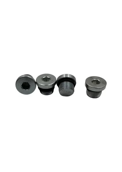 M18X1.5 Alyan Başlı Tapa
