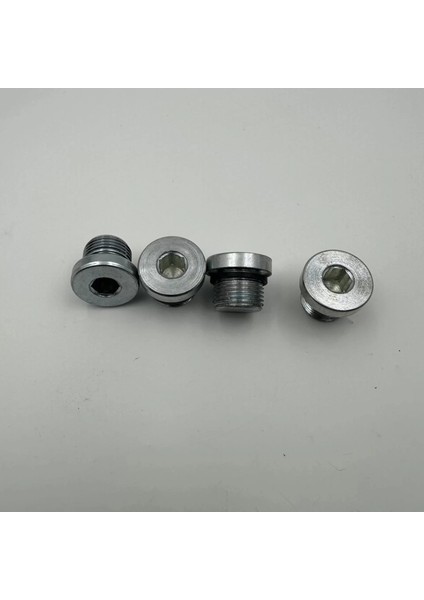 M18X1.5 Alyan Başlı Tapa