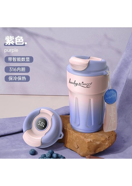 420 ml Akıllı Sıcaklık Göstergesi 316 Paslanmaz Çelik Kahve Fincanı Termos Bardak Degrade Su Bardağı Taşınabilir Termos Su Isıtıcısı (Yurt Dışından)